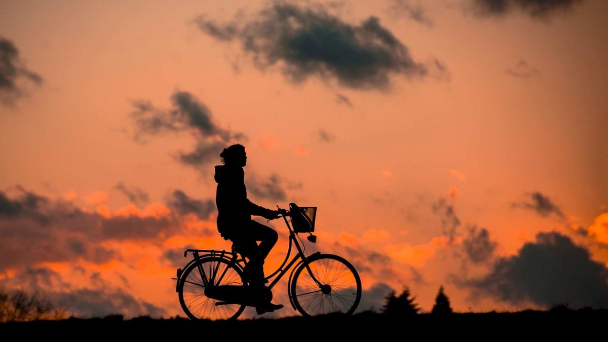 Quelques critères importants à prendre en compte pour choisir un vélo électrique