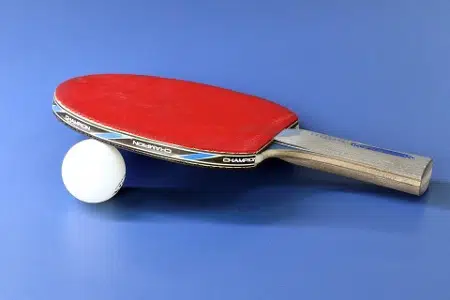 Comment choisir le bois pour le tennis de table ?