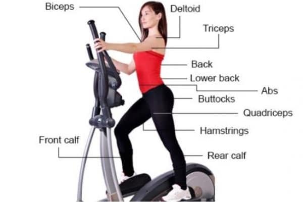 Pourquoi utiliser un vélo elliptique ?