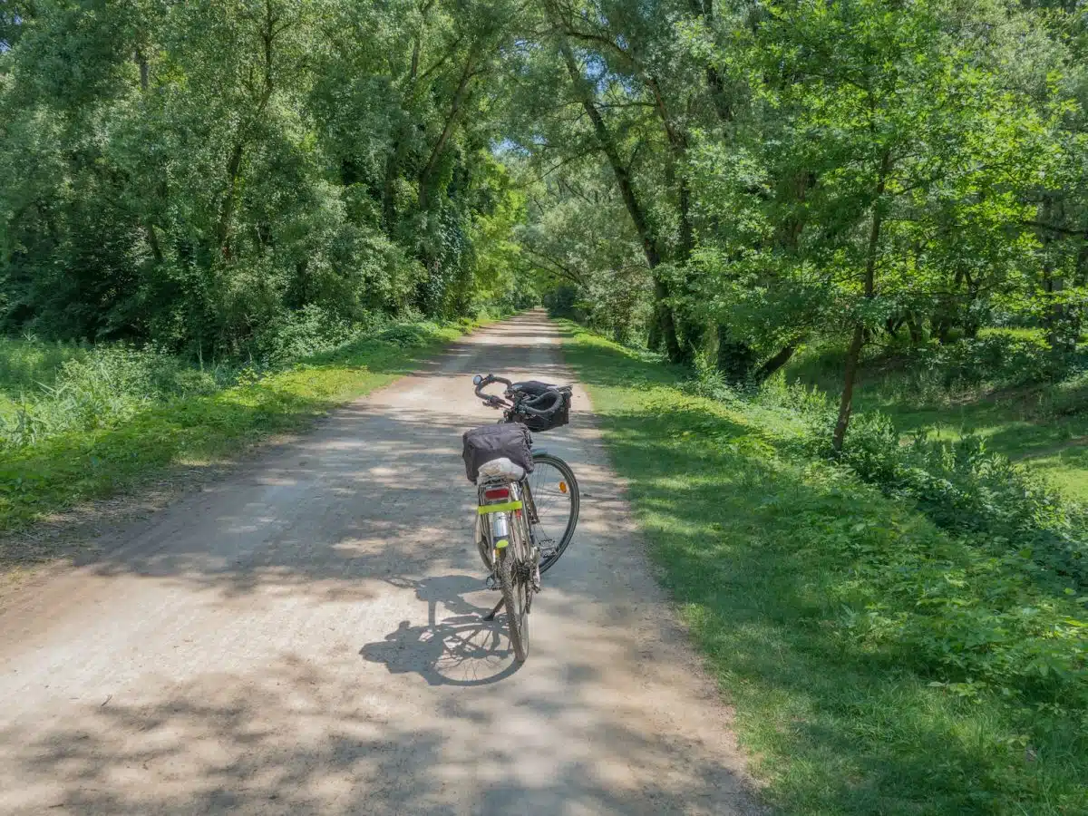 a person riding a bike on a dirt road surrounded by trees