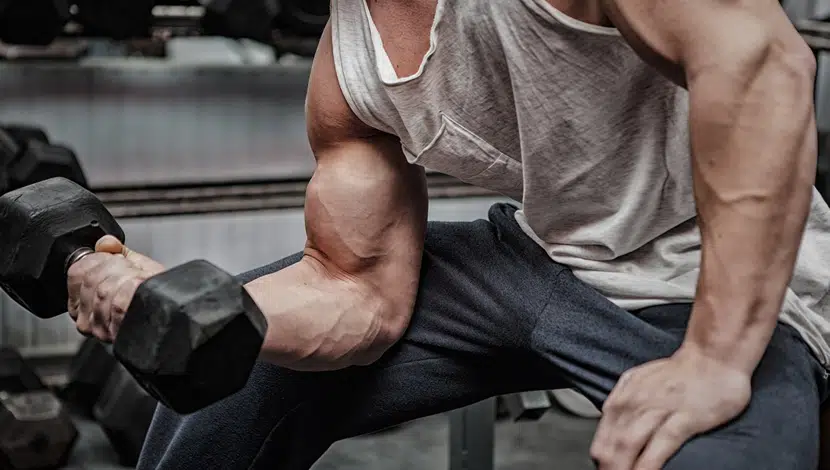 Quelle est la meilleure protéine pour développer les muscles ?